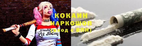 гидра Тайга