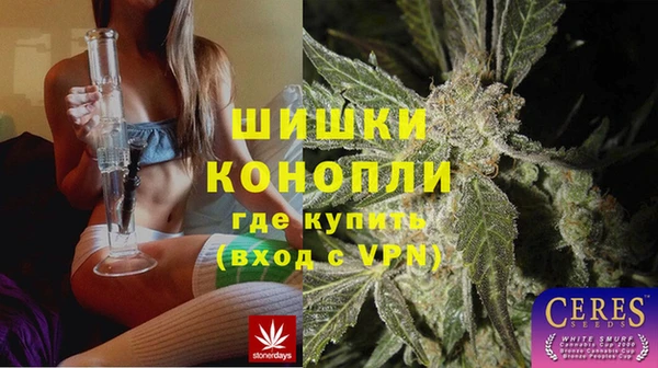 гидра Тайга