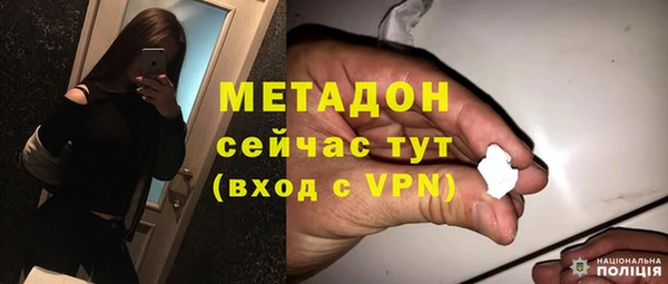 гидра Тайга