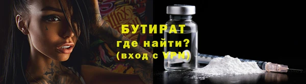 гидра Тайга
