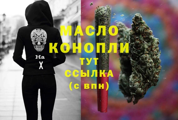 гидра Тайга