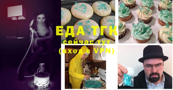 гидра Тайга