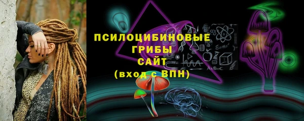 гидра Тайга