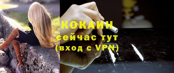 гидра Тайга