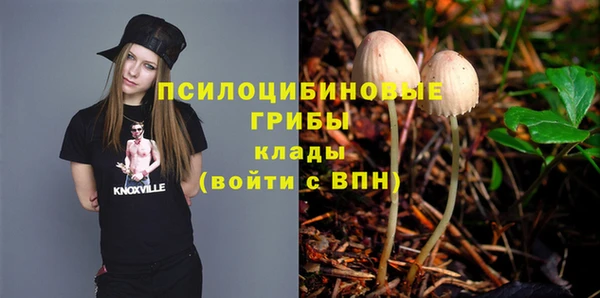 гидра Тайга