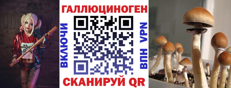 Купить  Краснодар  Псилоцибиновые грибы ЛСД 