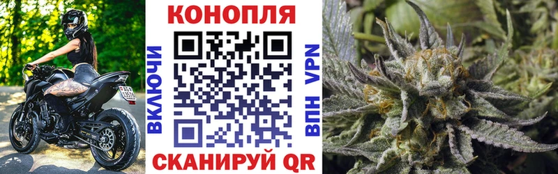 Купить  Краснодар  Шишки марихуана OG Kush 